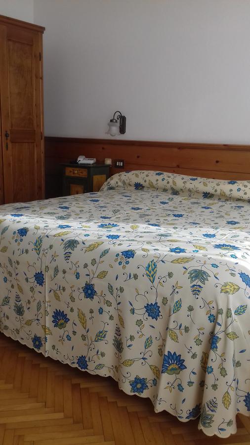 Dolomiti Hotel 3*